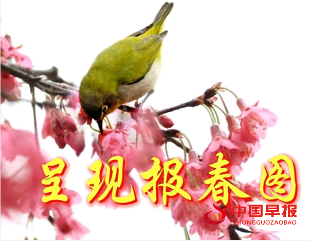 1733622631196786.png 立冬6.png