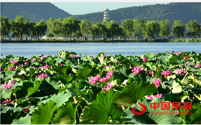 1733981986491352.png 西湖2.png