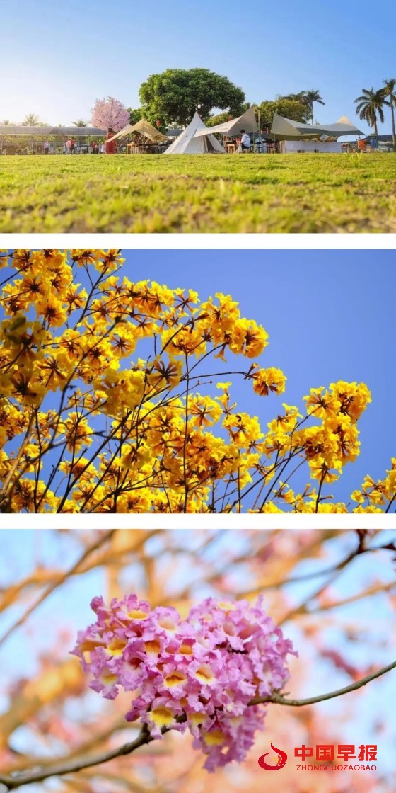 1734329105211872.jpg 1_副本.jpg