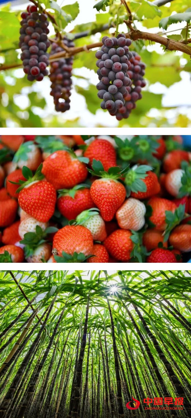 1734331621158194.jpg 微信图片_20241216144407.jpg