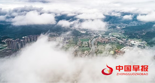 1734849696193379.png 1.png