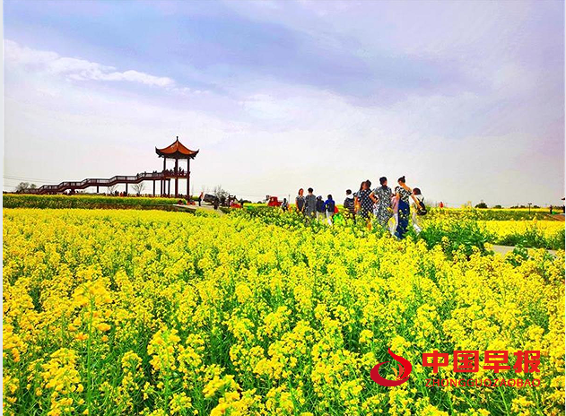 1734939052757854.png 油菜花节2.png