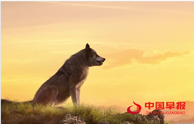 1735103420188809.png 1孤狼.png