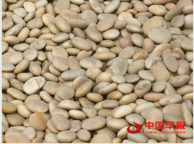 1735526104336346.png 44鹅卵石.png