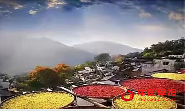 1737172939161001.png 4.png