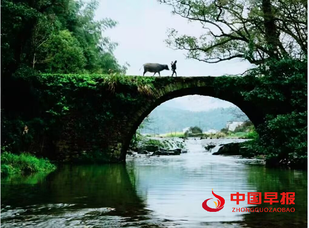 1737172958130636.png 5.png