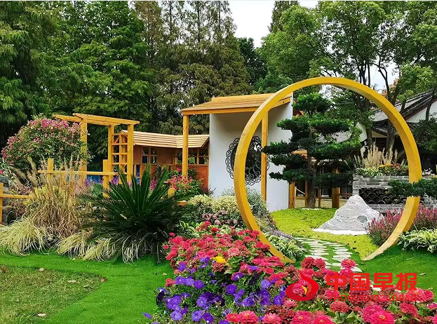 1737252892822708.png 6美景.png