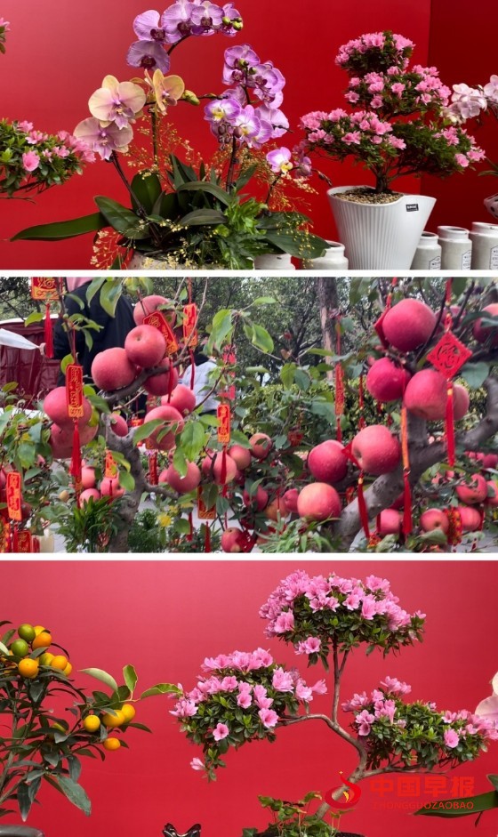 1737564084184665.jpg 3_副本.jpg