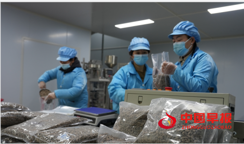 1738487393812610.png 33.png