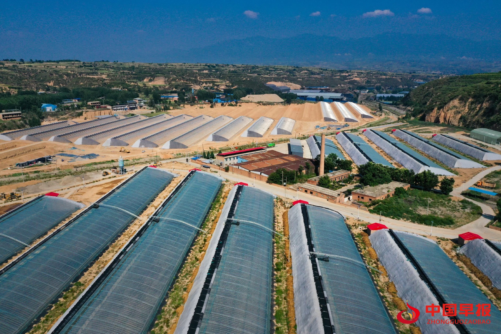 1739157854193866.jpg 图片01.jpg