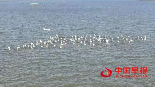 10224463494757546_5.jpg 10224463494757546_5.jpg