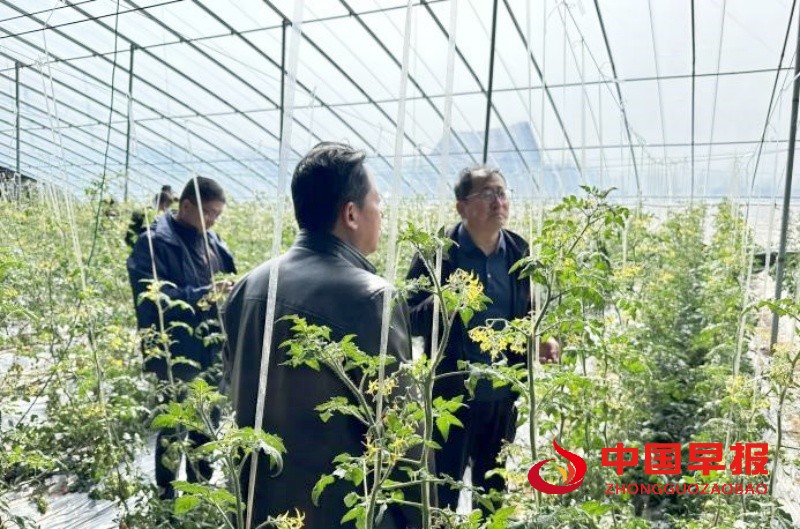 1741796375113097.jpg 2_副本.jpg