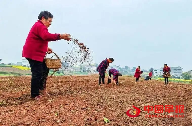 1742199948173693.jpg 图片07.jpg