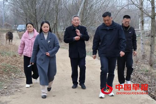 07532419749456481_5.jpg 07532419749456481_5.jpg