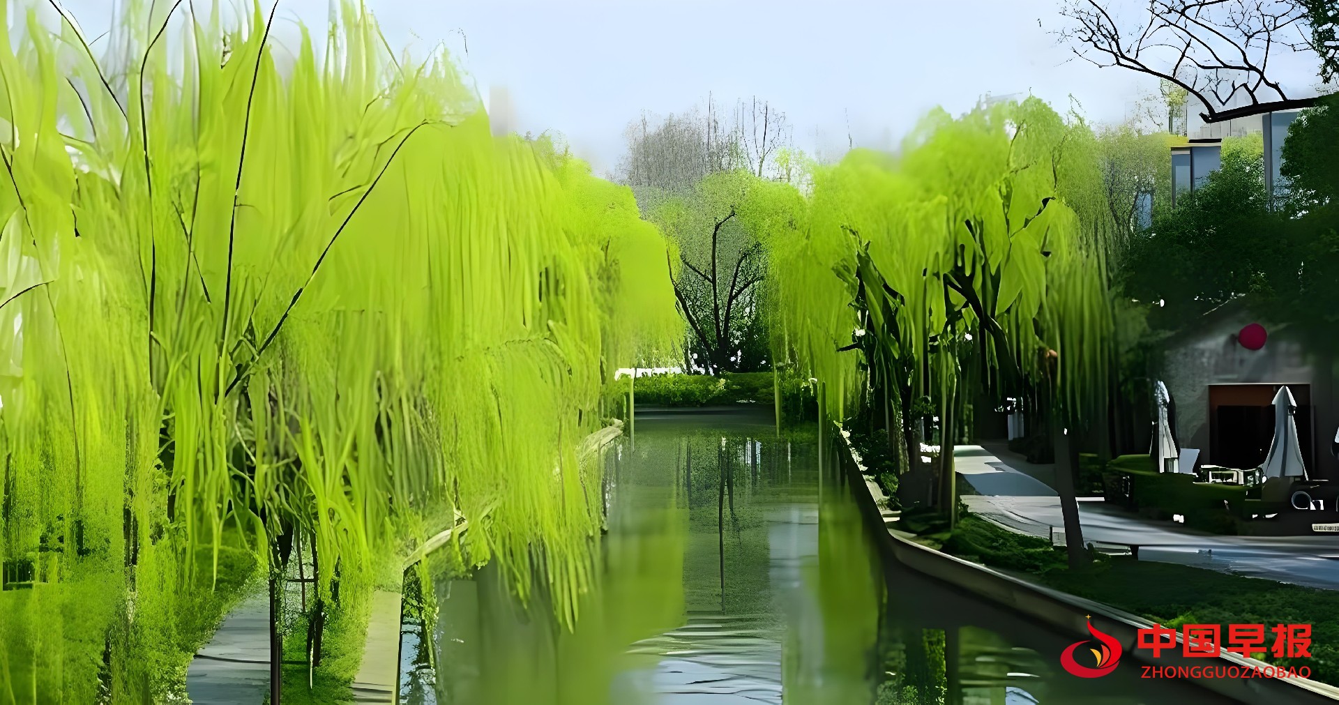 1742804046117783.jpg 图片02.jpg