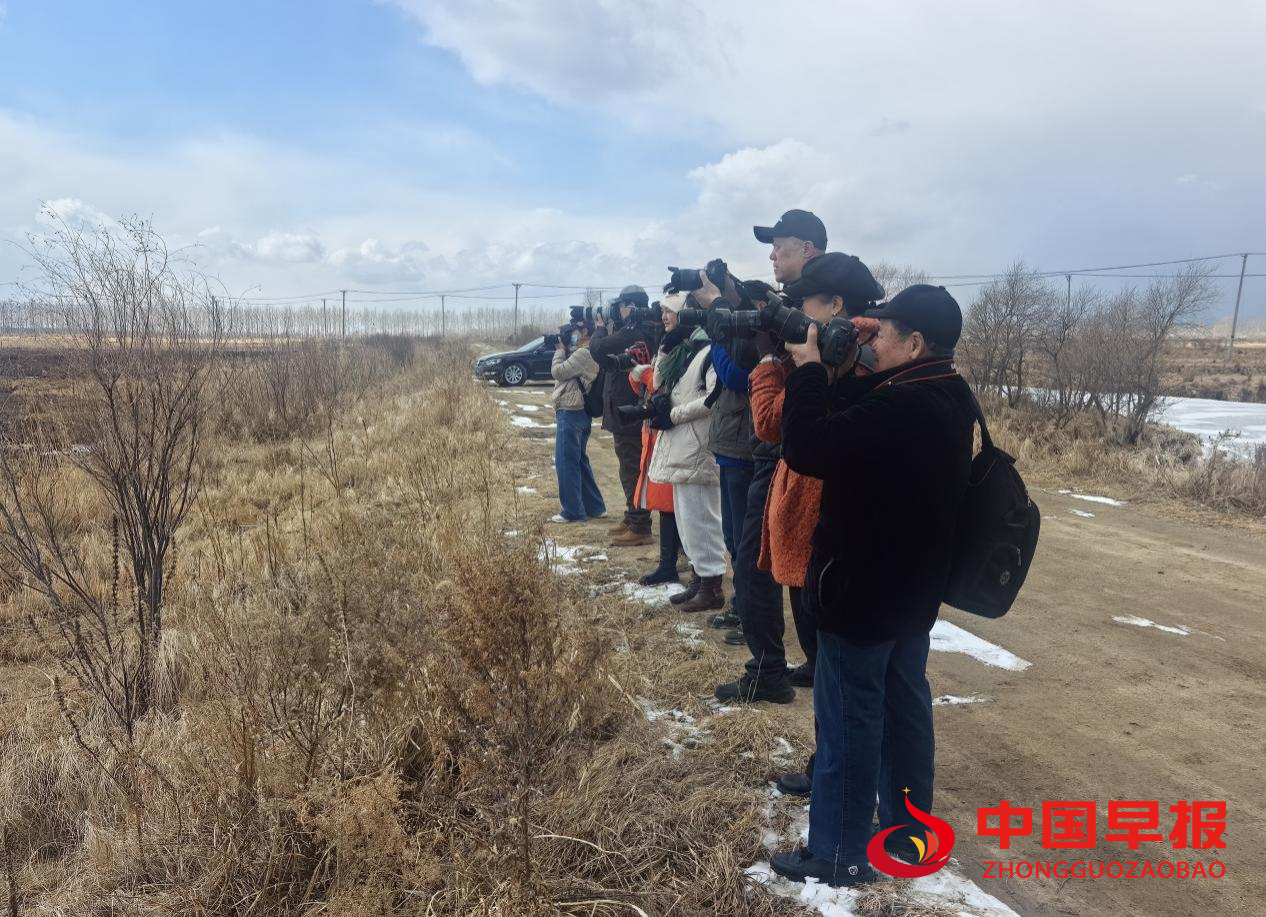 1743475198158453.png 图片03.png