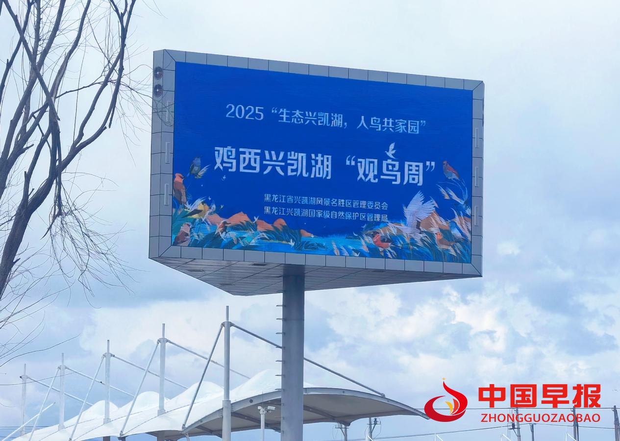 1743475417102477.png 图片07.png