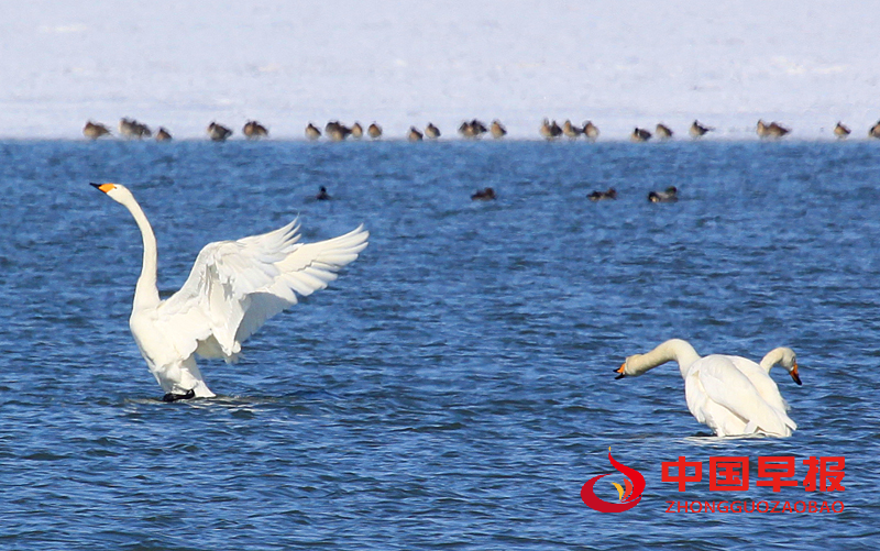 1743475495186809.png 图片08.png