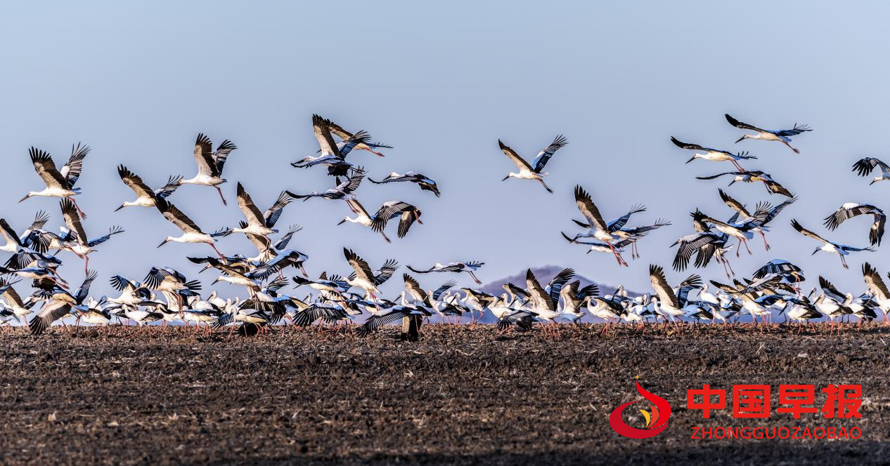 1743475518203802.png 图片09.png