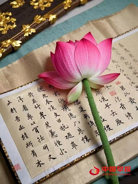 1743735667129150.jpg 微信图片_20250404105519.jpg