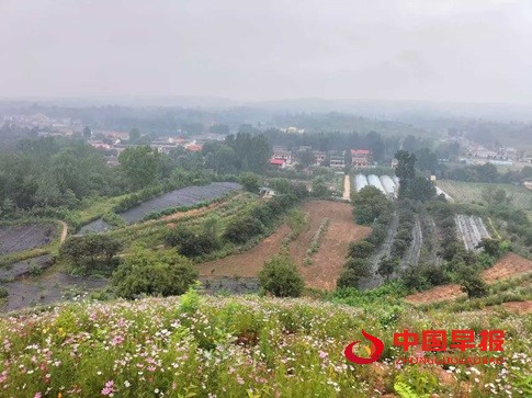 1744369323169005.jpg 微信图片_20250411180631.jpg