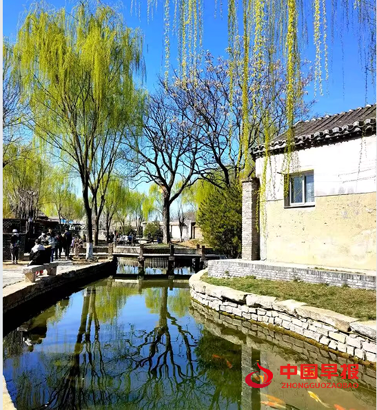 1745195982342052.png 4.png