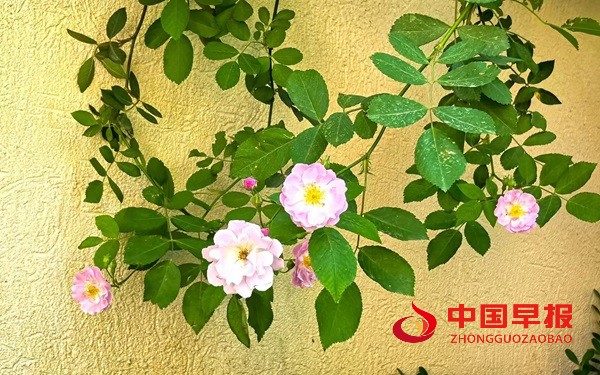 1745209409112423.jpg 微信图片_20250421121424.jpg