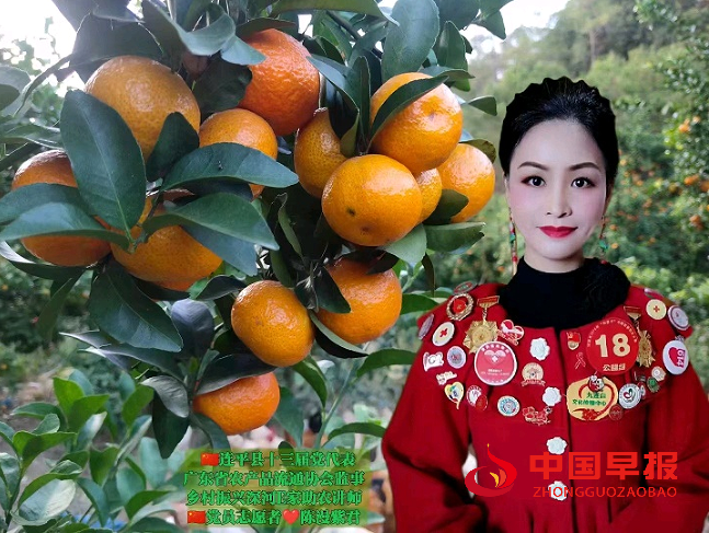 1746349380771287.png 陈漫31.png