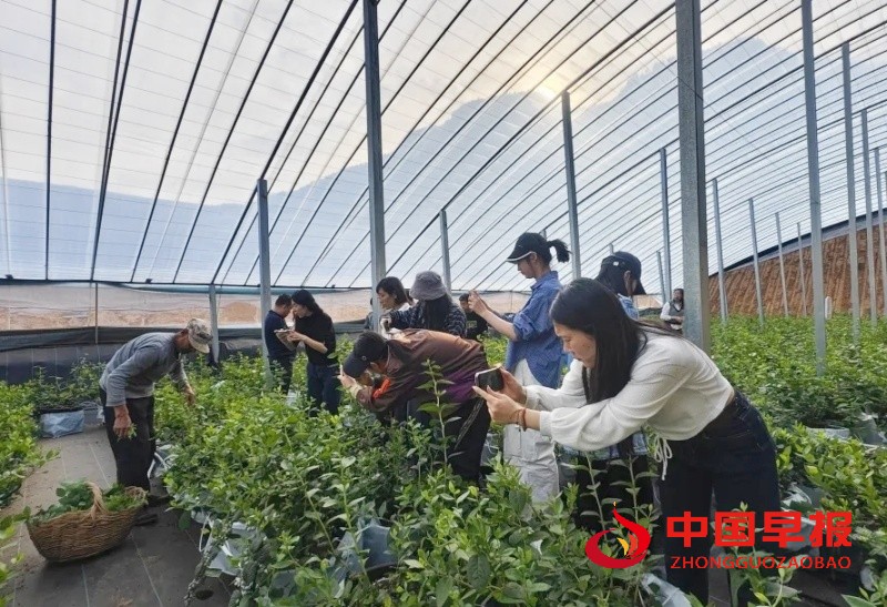 1746548242199658.jpg 微信图片_20250507000301_副本.jpg