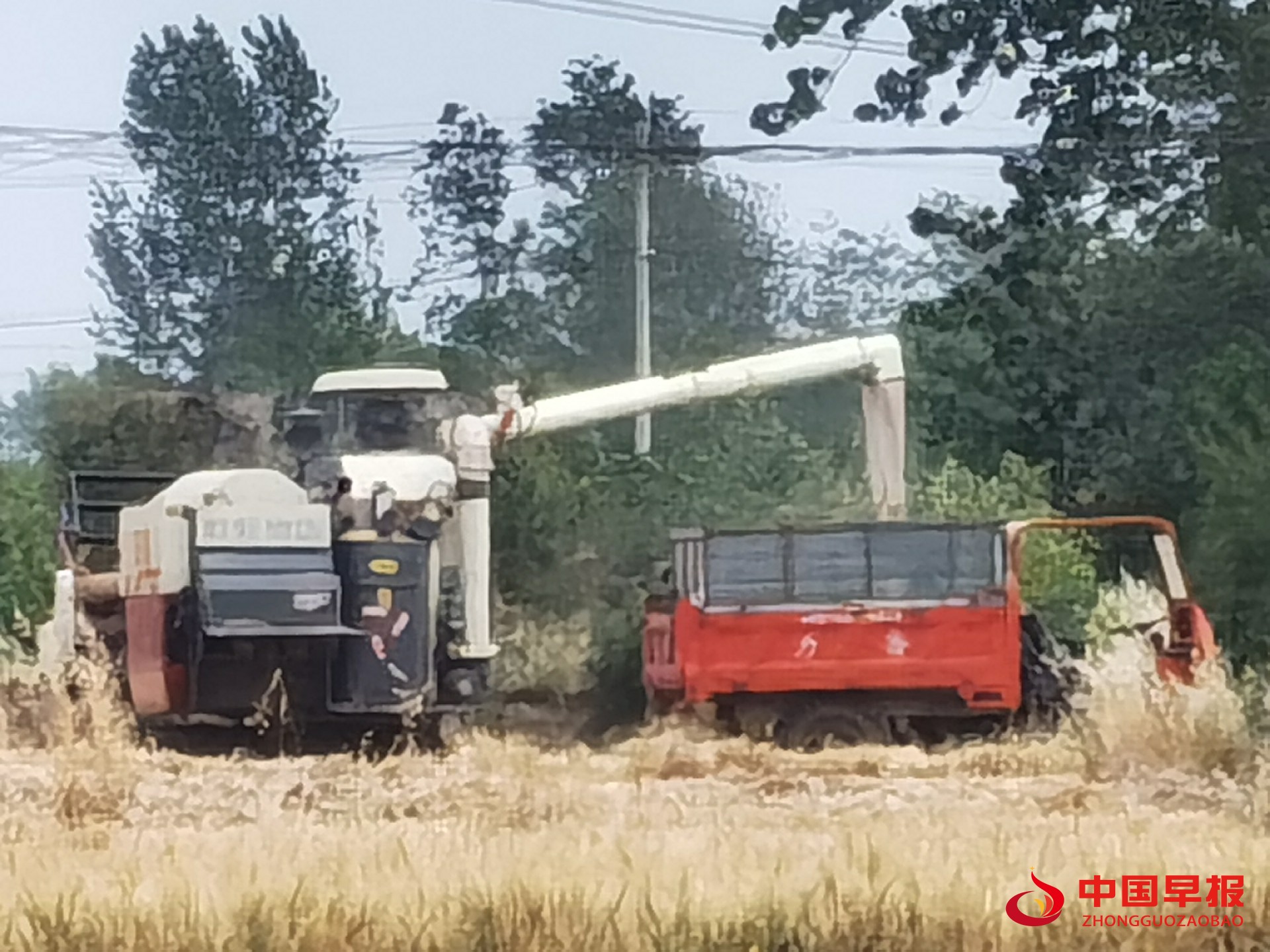 1746570744103650.jpg 1746570744103650.jpg