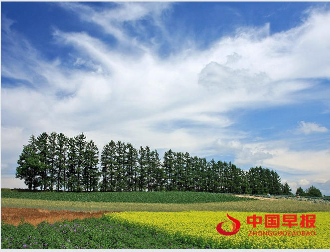 1747298661809676.png 2田野.png