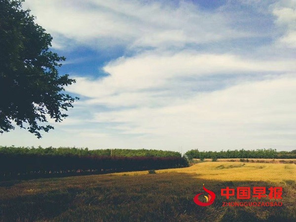 1747398525271496.jpg 微信图片_2025-05-16_202418_267.jpg