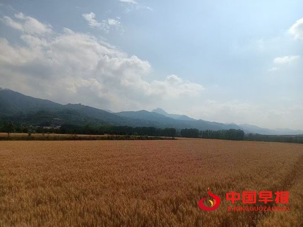 1749015118135457.jpg 微信图片_20250604133041.jpg