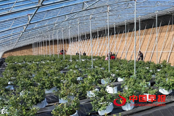 1749473233893585.png 4_副本.png