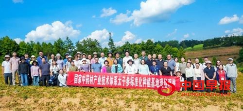 国家中药材产业技术体系太子参单品种攻关工作会议在贵州施秉举办(图5)