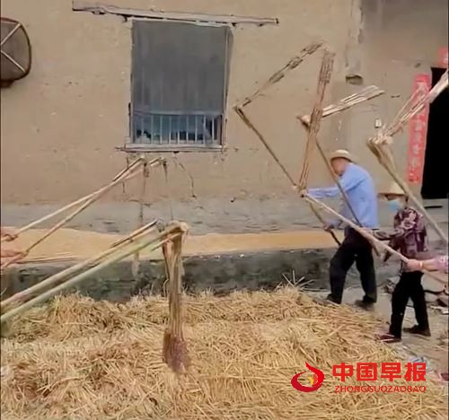 杜鸿:《绣花田园》(图9) 杜鸿:《绣花田园》(图9)