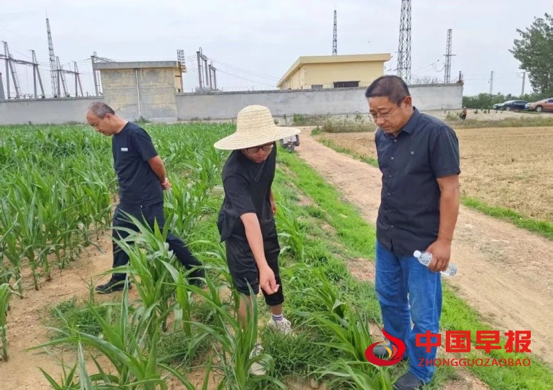 1750348454146063.jpg 640 (5)_副本.jpg