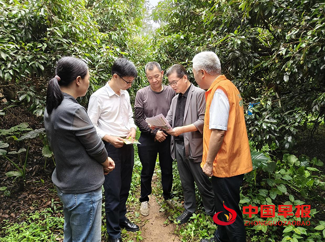 1750383478191121.png 55.png