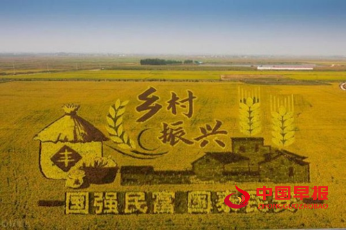 黑龙江省肇东市昌五镇四井村：乡村新能源 照亮振兴路(图5)