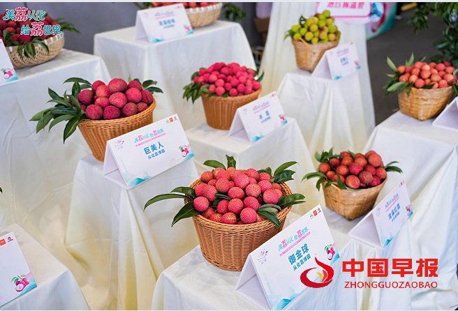 1751154566591510.png 222.png