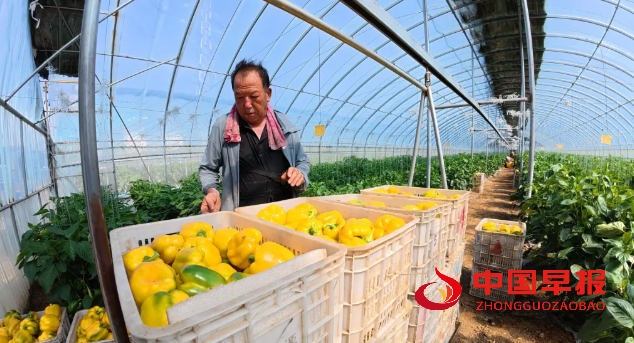 1751875285201105.png 图片01.png