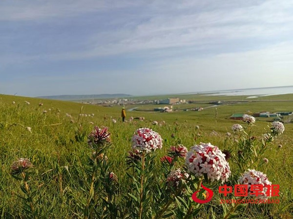 1752028988486512.jpg 微信图片_20250709103025.jpg