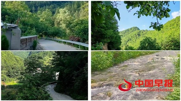 1752760611198769.jpg 1752760611198769.jpg