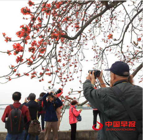 1753154956165109.png 5.png