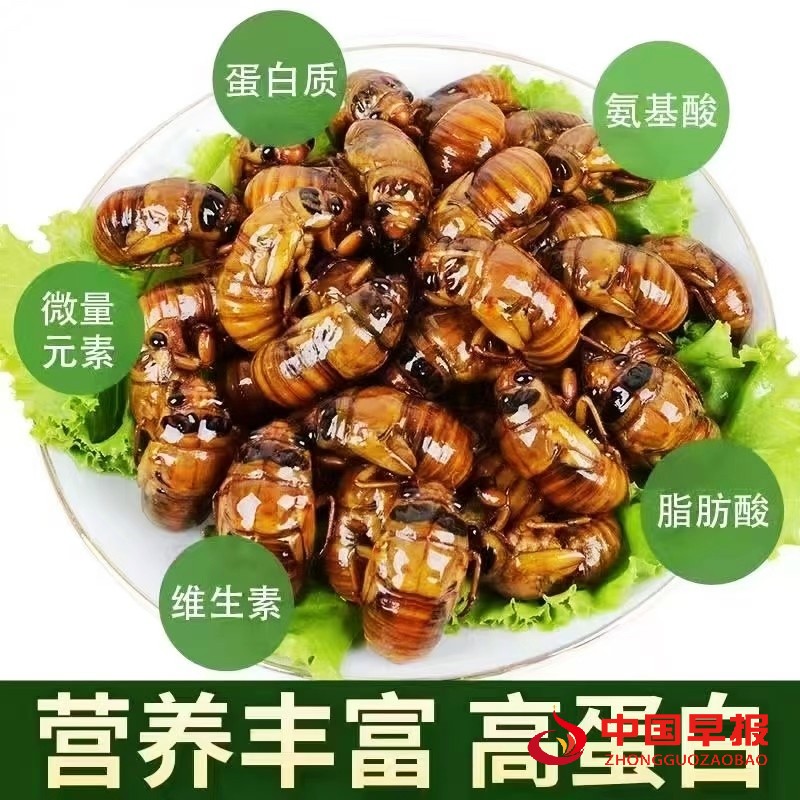 1753961802654580.jpg 2_副本.jpg