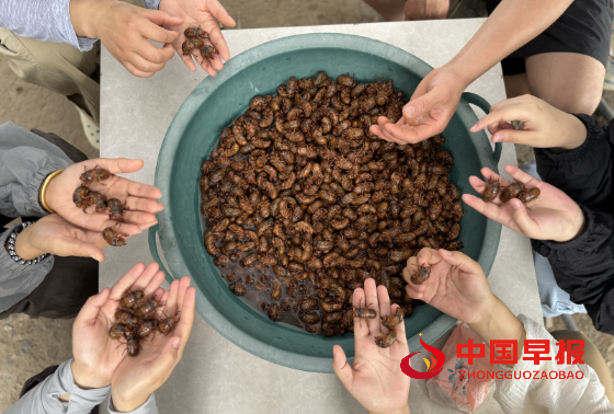 1753961811213939.png 3_副本.png