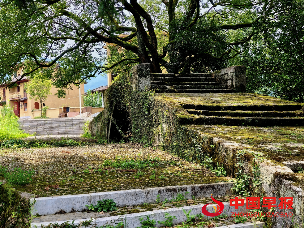 1754302015850027.png 图片09.png