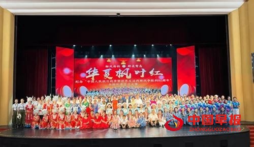 宜昌龙狮专委会赴厦参赛载誉归来， 多项大奖彰显实力与风采(图9)