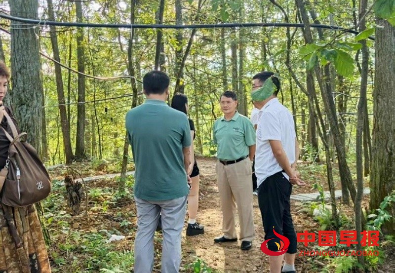 1754879652213389.jpg 5_副本.jpg