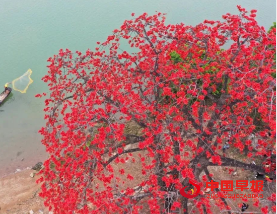 1754969784152253.png 1.png